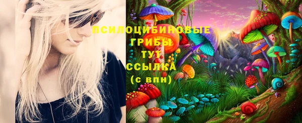 твердый Медвежьегорск