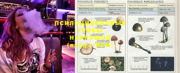 не бодяженный Мегион