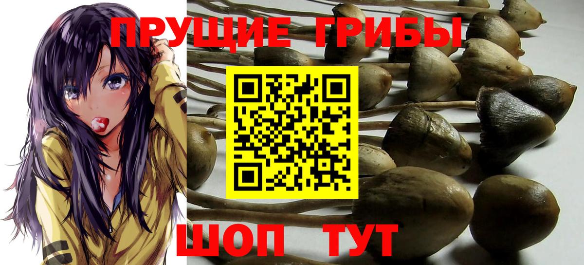 Карпинск  Псилоцибиновые грибы Cubensis  Псилоцибиновые грибы ЛСД  Вход с VPN 